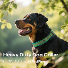 PetiFine stainless-steel buckle closeup demonstrates secure fit for big dogs