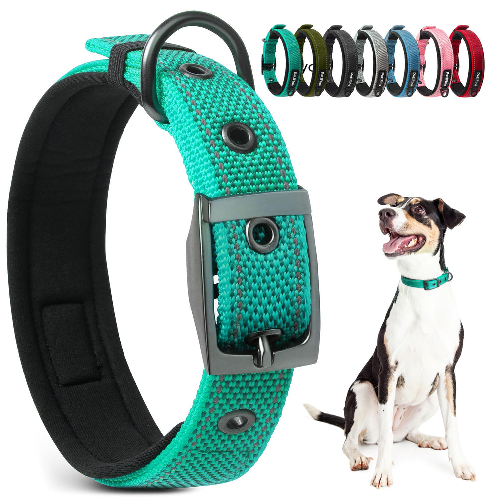 PetiFine teal neoprene padded dog collar provides comfortable neck support during active walks.