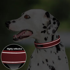 PetiFine reflective straps dog collar improves visibility in low light.