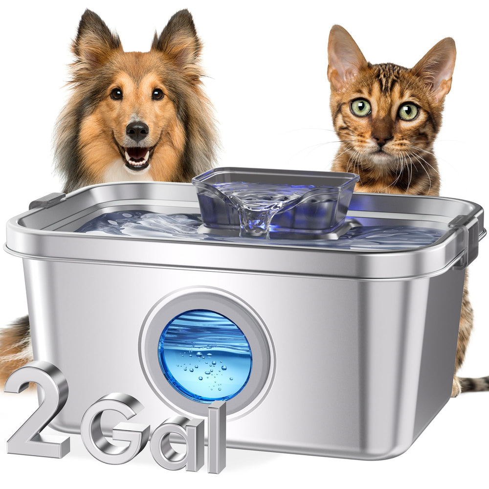 PETIMI water fountain 2-gallon capacity ready for multiple pets.