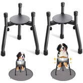 PetInBox 2-pack adjustable elevated dog bowl stands for multi-pet homes with cleaner feeding