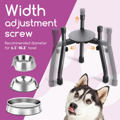 PetInBox 3-height adjustable stands demonstrate comfortable eating posture for dogs