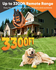 PETINBOX range-3300ft-remote demonstrates long-distance training potential in parks.