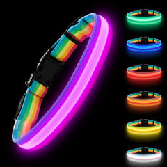PetIsay LED dog collar front view shows full glow for night visibility.