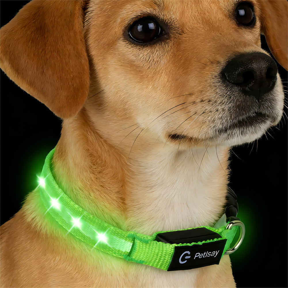 PetIsay Super Bright LED Dog Collar green XS front view with vivid glow for night walks