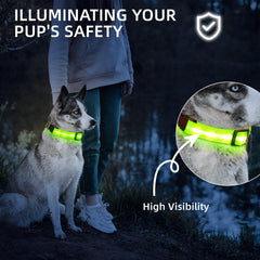 PetIsay Super Bright LED Dog Collar green XS waterproof material ready for rain