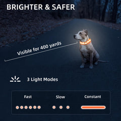 PetIsay usb-c-recharge-dog-collar charging setup highlights quick recharge readiness