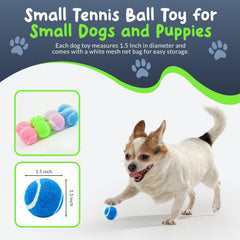 Petite Paws mini tennis ball green, durable outdoor puppy play