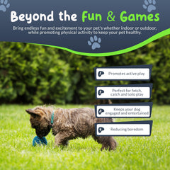 Petite Paws spiky ball durable non-toxic design for small chewers