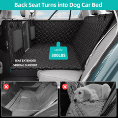 Petiza dog relaxing on car seat shows comfortable travel