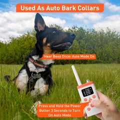 PetJoy remote control training collar in action for dogs