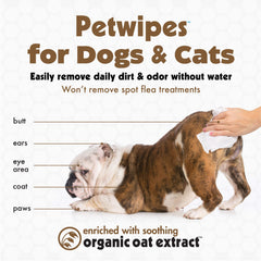 Petkin wipes being used on a pet's face and ears for gentle cleansing.