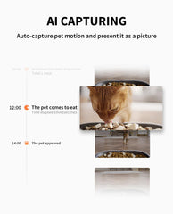 PETKIT YumShare night vision view helps see pets after dark.