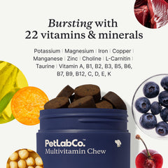 PetLab Co. dog multivitamin packaging varies signals immune support potential.
