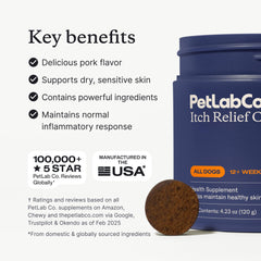 PetLab Co Itch Relief Chews dog chewing demonstrates palatability for allergy relief.