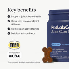 PetLab Co Joint Care Chews dog enjoying a chew to support joint flexibility.
