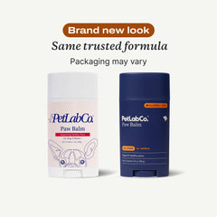 PetLab Co. Paw Balm being applied to a dog's paw for soothing relief