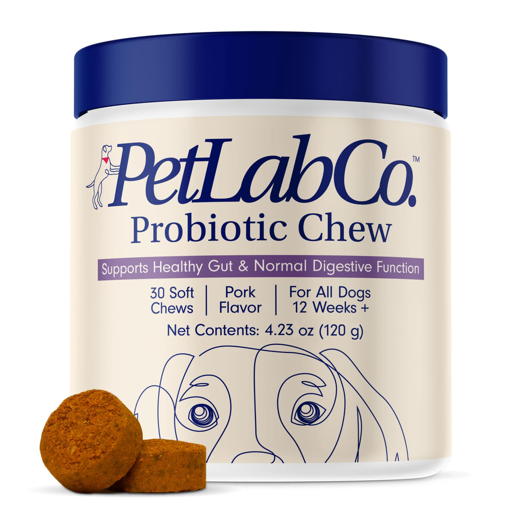 PetLab Co probiotics for dogs pork-flavor soft chews on kitchen counter for digestive support.
