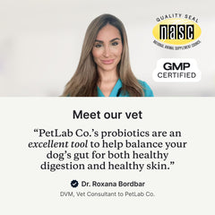 PetLab Co. Probiotics salmon-flavor treats entice dogs while supporting gut health