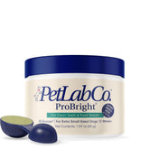 PetLab Co ProBright dental powder bottle and scoop for easy daily care.