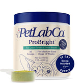 PetLab Co ProBright dental powder packaging for easy at‑home care.