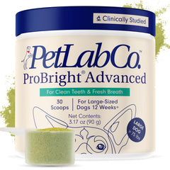 PetLab Co ProBright dental powder tub packaging targets tartar for large dogs