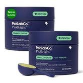 PetLab Co ProBright dental powder tube and spoon for quick daily breath freshness.