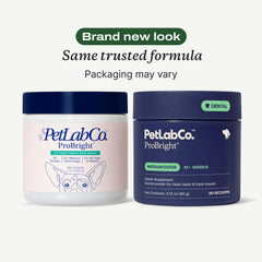 PetLab Co ProBright tartar‑targeting detail highlights cleaner looking teeth.