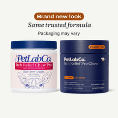 PetLab Co. Salmon Itch Relief Chew Pro dog eating scene emphasizes tasty salmon flavor for easy dosing.
