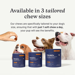 PetLab Co small dog bottle with label indicates easy daily supplement