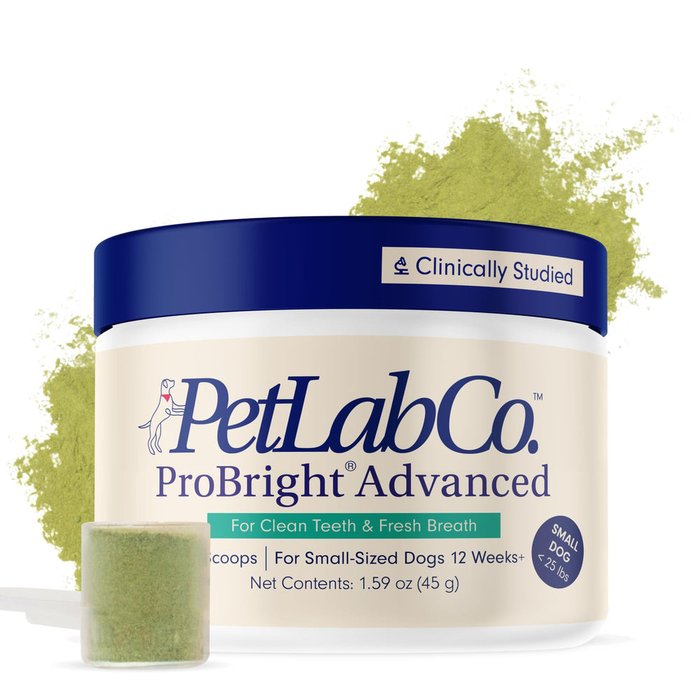 PetLab Co ProBright advanced dental powder packaging for easy daily use and fresher dog breath.