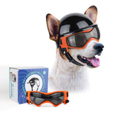 PETLESO dog goggles with orange lens provide UV protection during outdoor walks