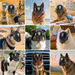 PETLESO dog goggles UV400 lens close-up shields eyes from UV rays