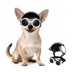 PETLESO XS dog helmet front view for secure fit and head protection during outdoor rides