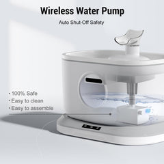 Petlipo ultra-silent pump keeps noise low during nighttime use.