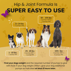 PETMADE hyaluronic acid formula aids joint lubrication during movement.