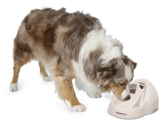 Petmate Fresh Flow Deluxe pump with AC adapter and cord ready for use.
