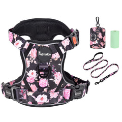 Petmolico large dog harness set front view with adjustable straps for comfortable daily walks