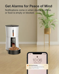 Petory daily-schedule-setup image highlights flexible feeding plan options.