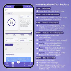 PetPace V3 telehealth vet chat screen for remote care