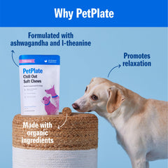 PetPlate Chill Out Soft Chews jar back label details ashwagandha and L-theanine.