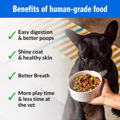 PetPlate Roost Rulin' Chicken fruit and veggie colors highlight natural nutrition for your dog.