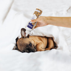 Petpost coconut oil ear cleaner with natural formula supports gentle ear cleansing