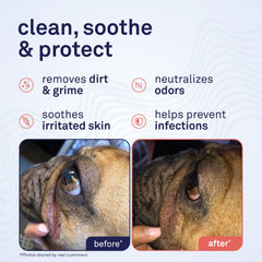 Petpost wrinkle wipes open lid ready for fast wrinkle care on a dog face