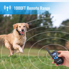 Petrainer remote trainer in use across a yard with long-range control