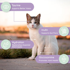 Petralyte cat taurine supports heart health and eye function