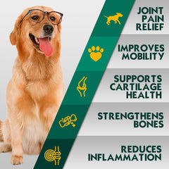 PetriMins eggshell membrane ingredient for connective tissue support