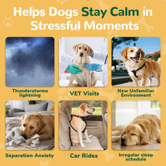 Petrivium dog car ride scene suggests easier travel with calming treats.