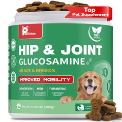 Petrivium dog hip joint chews bottle showing convenient packaging for daily joint support.