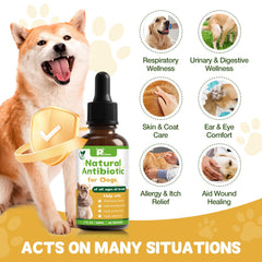Petrivium: gotas naturales para gatos, apoyo digestivo y bienestar.